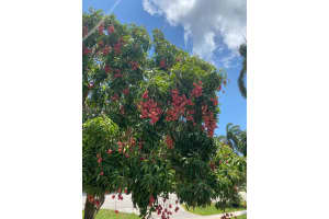 1251 SW 11th Terrace, Boca Raton, FL 33486, - MLS#A12003360