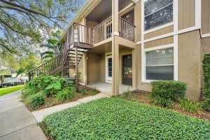 14315 Hanging Moss Cir APT 101, Tampa, FL 33613, - MLS#A12004833