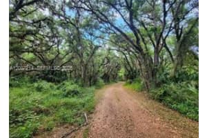 1040 Kirby Thompson Rd, Fort Denaud, FL 33935, - MLS#A12007214