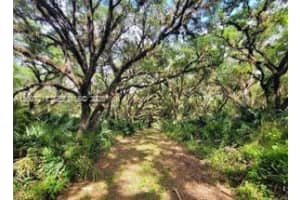 1040 Kirby Thompson Rd, Fort Denaud, FL 33935, - MLS#A12007214