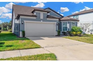 9107 Rally Spring Loop, WESLEY CHAPEL