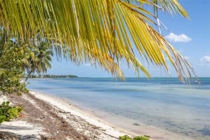 74049 Overseas Hwy, Islamorada, FL 33036, - MLS#A12010138