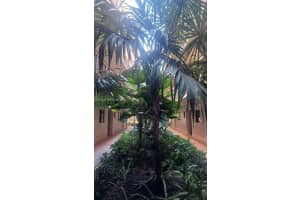 8650 Sw 133rd Ave Rd 107, Miami