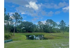 NE 365th Ln, Florida 34972, - MLS#A12011820