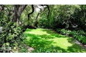 530 Melaleuca Ln, Miami, FL 33137, - MLS#A12012144