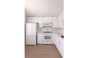 218 Ne 12th Ave 302, Hallandale Beach