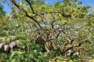 MLS# A12017448, Fort Lauderdale, Florida 33312
