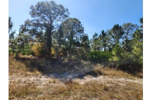 706 Johns Ave Lehigh Acres, FL 33972 - MLS#A12018340