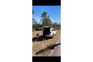 2112 Irving Ave Lehigh Acres, FL 33920 - MLS#A12019576