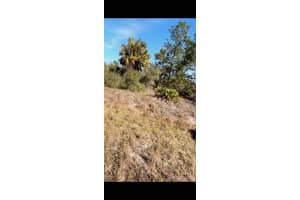 2112 Irving Ave Lehigh Acres, FL 33920 - MLS#A12019576