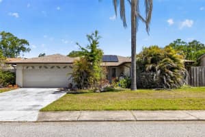 7215 Maplehurst Dr, Port Richey, FL 34668, - MLS#A12023931