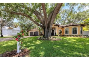 3502 W Cherokee Ave, Tampa, FL 33611, - MLS#A12024003