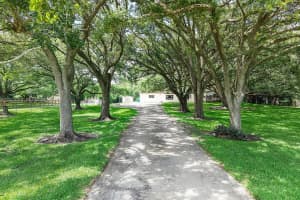 13821 Mustang Trail, Southwest Ranches, FL 33330 - MLS#A12024760
