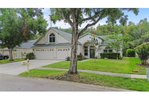 10217 Timberland Point Drive, Tampa, FL 33647 - MLS#A12038408