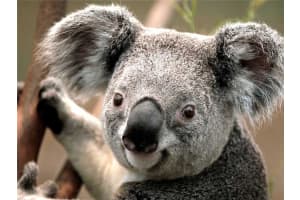 2121 N Bayshore Dr, Miami, FL 33137, Sold 09/24/14