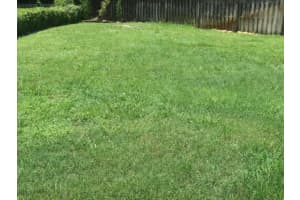 1241 Staghorn Court, Wellington, FL 33414 - MLS#B26002129