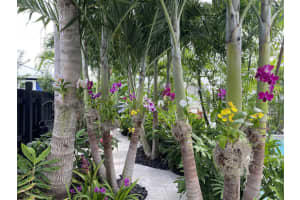 634 3rd Avenue, Delray Beach, FL 33483 - MLS#B26003529