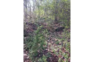 000 158 Lane, Dunnellon, FL 32024, Dunnellon, FL 32024 - MLS#B26004090