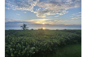 3870 N Highway A1a Highway N #202, Hutchinson Island, Fl 34949, Hutchinson Island