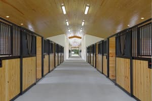 2088 Appaloosa Trail, Wellington, FL, Wellington, FL  - MLS#B26006024