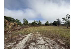 17231 268th Street, Okeechobee, FL 34972 - MLS#B26006252