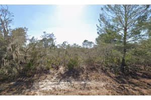 3235 Dahlia Drive, Lake Placid, FL 33852 - MLS#B26006746