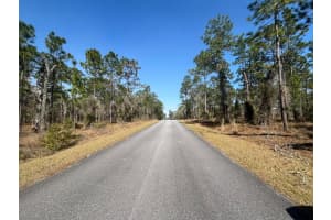 Tbd Water Oak Avenue, Dunnellon, FL 34431 - MLS#B26007658