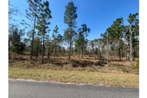 Tbd Water Oak Avenue, Dunnellon, FL 34431 - MLS#B26007658