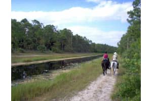 1340 Arabian Drive, Loxahatchee, FL 33470 - MLS#B26008745