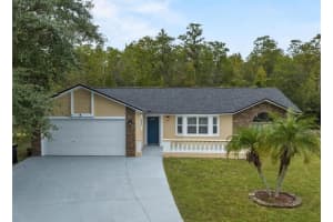 613 Antelope Lane, Kissimmee, Fl 34759, Kissimmee