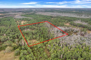 000 No Street, Polk City, FL 33868, Polk City, FL 33868 - MLS#B26009086