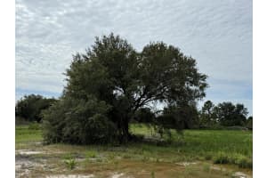 16814 296th Street, Okeechobee, FL 34972 - MLS#B26009120