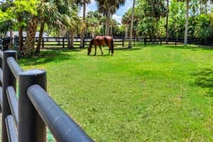 17225 Mare Lane, The Acreage, FL 33470 - MLS#B26009514