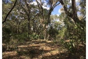 8922 Gulf To Lake Highway, Inverness, FL 34450 - MLS#B26009956