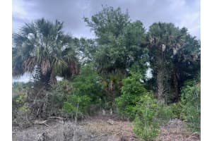 18333 308th Street, Okeechobee, FL 34972 - MLS#B26010267