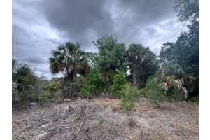 18333 308th Street, Okeechobee, FL 34972 - MLS#B26010267