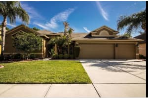 2620 Millhopper Avenue, Wesley Chapel, Fl 33544, Wesley Chapel