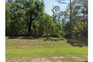1443 Odin Drive, Dunnellon, FL 34434 - MLS#B26011835