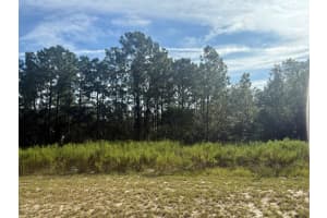 Tbd 135th St Road, Ocala, FL 34473 - MLS#B26013987