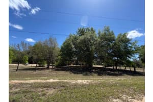 6667 Wild Horse Loop, Keystone Heights, FL 32656 - MLS#B26016122