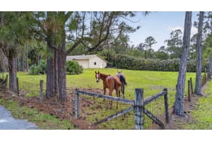 6045 Hall Boulevard, The Acreage, FL 33470 - MLS#B26017608