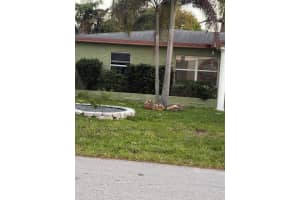 270 45th Street, Oakland Park, FL 33334 - MLS#B26019344