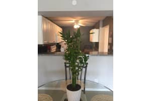 10 Royal Palm Way, Boca Raton, FL 33432 - MLS#B26019786