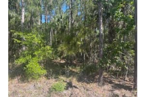 0 Golden Shores Blvd, Mims, FL, Mims, FL  - MLS#B26020781