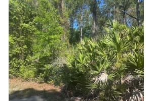 0 Golden Shores Blvd, Mims, FL, Mims, FL  - MLS#B26020781