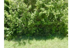 172 Gettysburg Drive, Port Saint Lucie, FL 34953 - MLS#B26022374