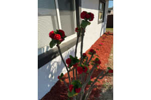 4010 6th Avenue, Deerfield Beach, FL 33064 - MLS#B26023035