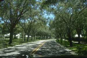 1880 Springfield Court, Palm City, FL 34990 - MLS#B26023405