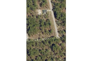 Tbd Buena Vista Road, Dunnellon, FL 34431 - MLS#B26025341