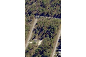 Tbd Buena Vista Road, Dunnellon, FL 34431 - MLS#B26025341